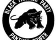 power-to-the-people-blackpantherparty